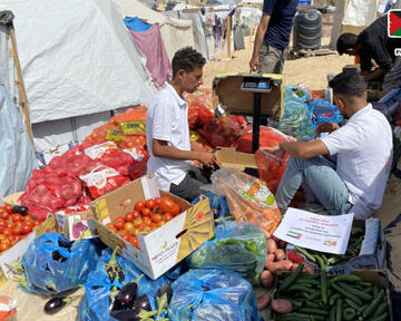 Direct Aid for Gaza provided vegetables to the displaced